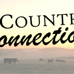 Welcome to Your Country Connection Blog!