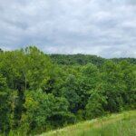 State Route 763 & State Route 41, Aberdeen – 17.963 Acres! SOLD!