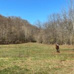 Stringtown Road, Aberdeen – Approx. 30 Acres! SOLD!