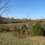 State Route 247, Hillsboro – 15 Acres! SOLD!
