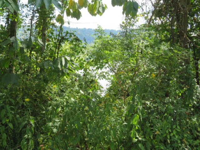 US52Tract2MLS13