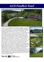 6420PondlickRdFlyer