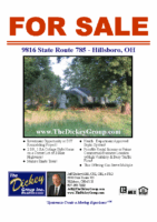 9816StateRoute785Flyer