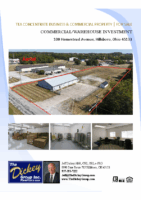 100HomesteadAveFlyer