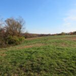 Carl Penn Road, Waverly – Approx. 13.75 Acres! SOLD!