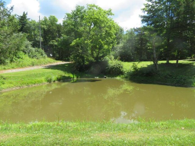 459GreenbrierRoadMLS49