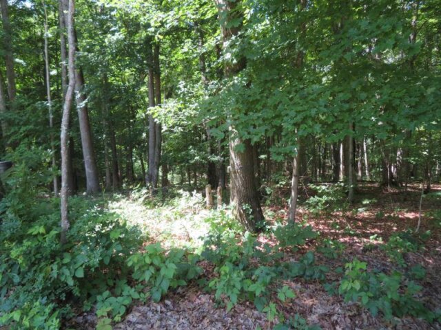 459GreenbrierRoadMLS55