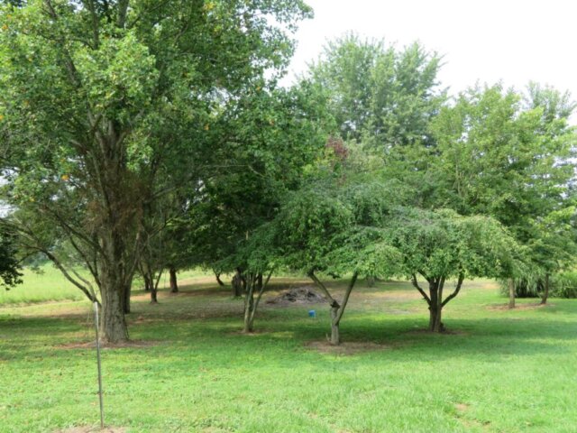 4263StateRoute73MLS38