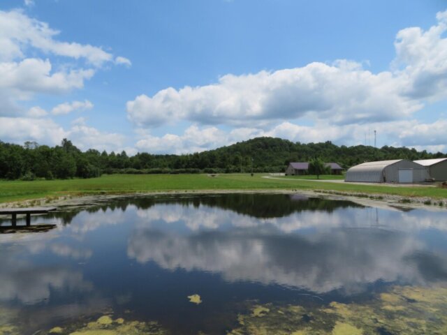 12891StateRoute136MLS57