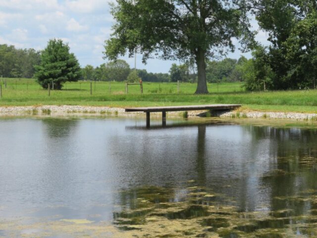 12891StateRoute136MLS58