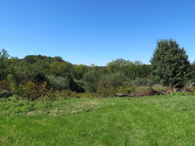 5421MuhlbachRoadMLS17